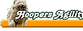 Hoopers Agility